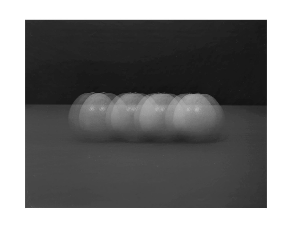 Nature morte
© Christophe Martinez