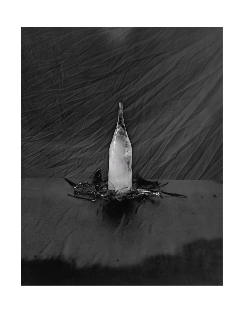 Nature morte
© Christophe Martinez