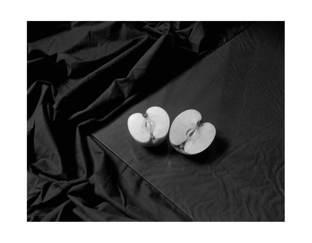 Nature morte
© Christophe Martinez