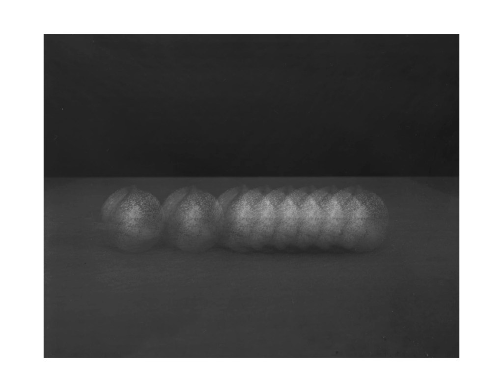 Nature morte
© Christophe Martinez