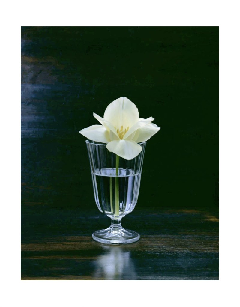 Nature morte
© Christophe Martinez