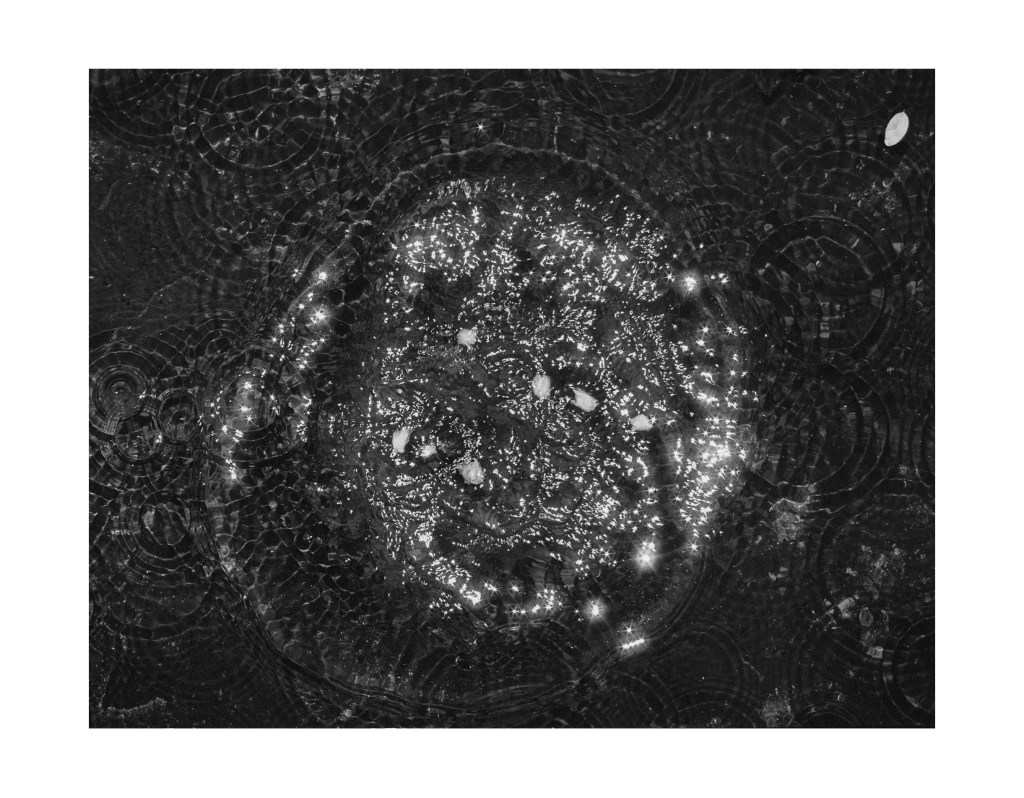 Nature morte
© Christophe Martinez