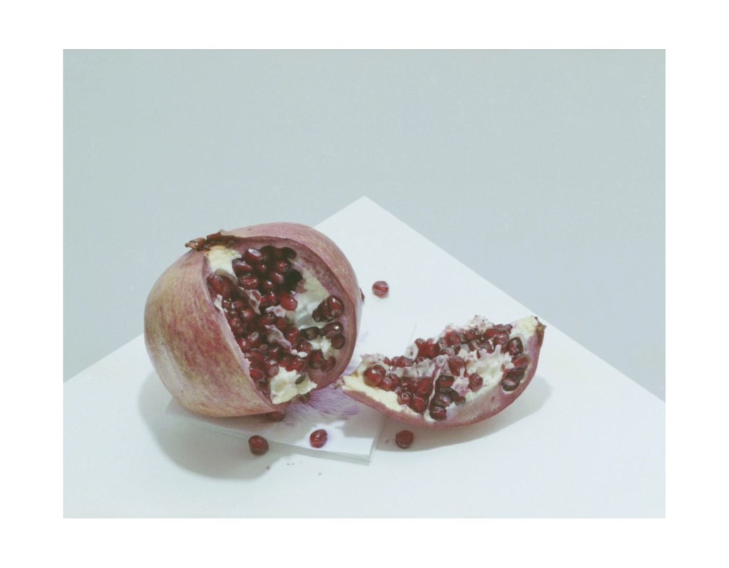 Nature morte
© Christophe Martinez