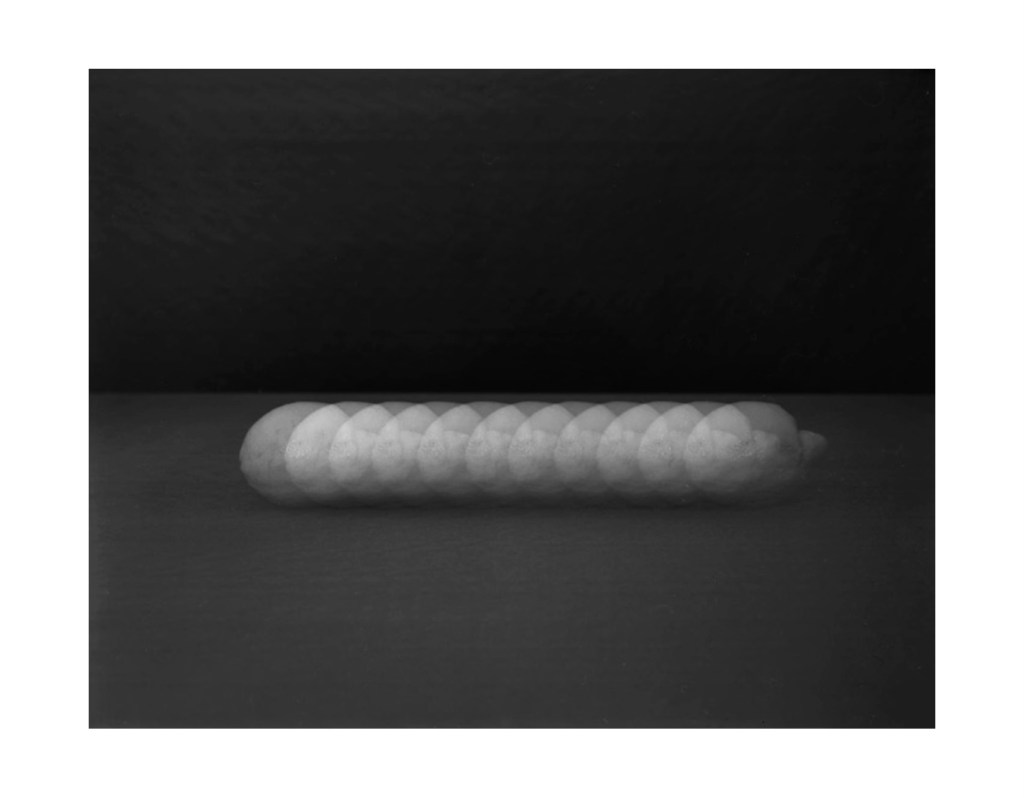 Nature morte
© Christophe Martinez