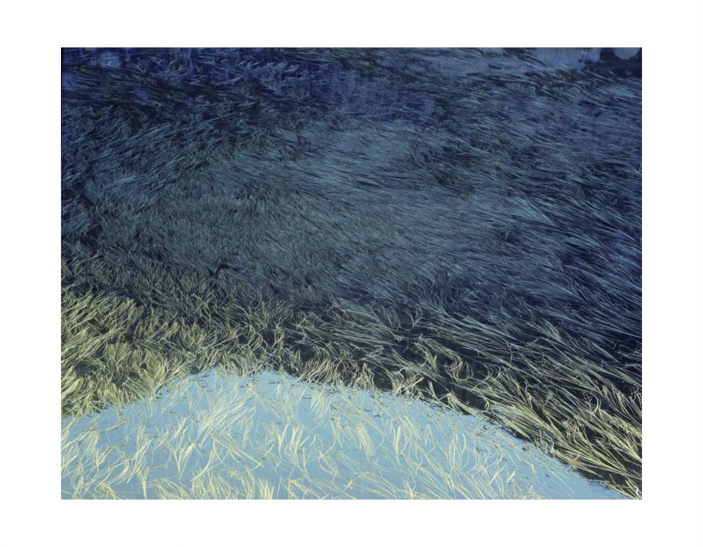 Paysage
© Christophe Martinez