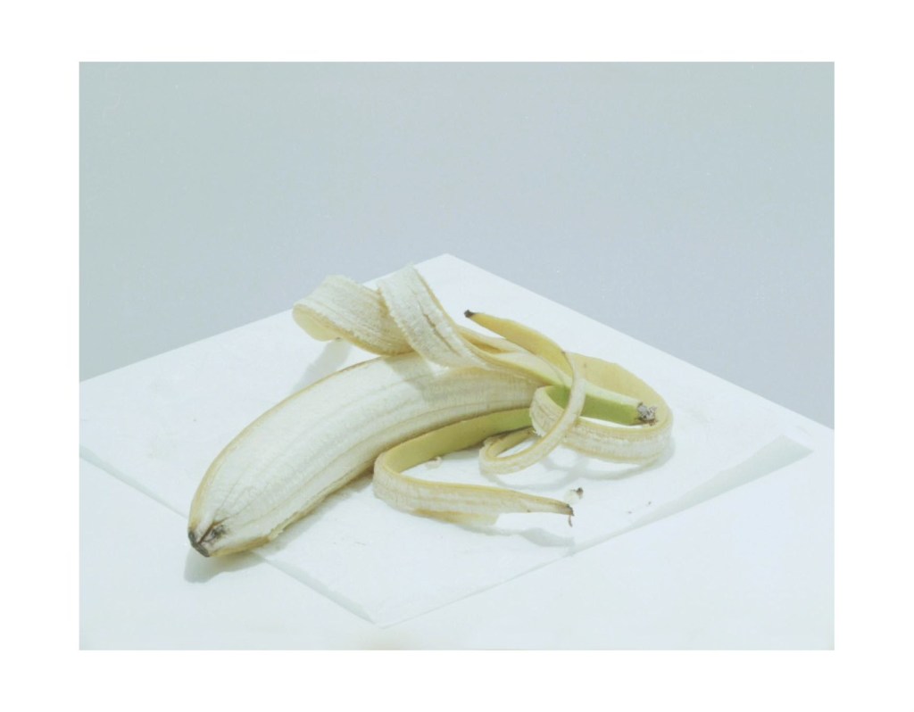 Nature morte
© Christophe Martinez