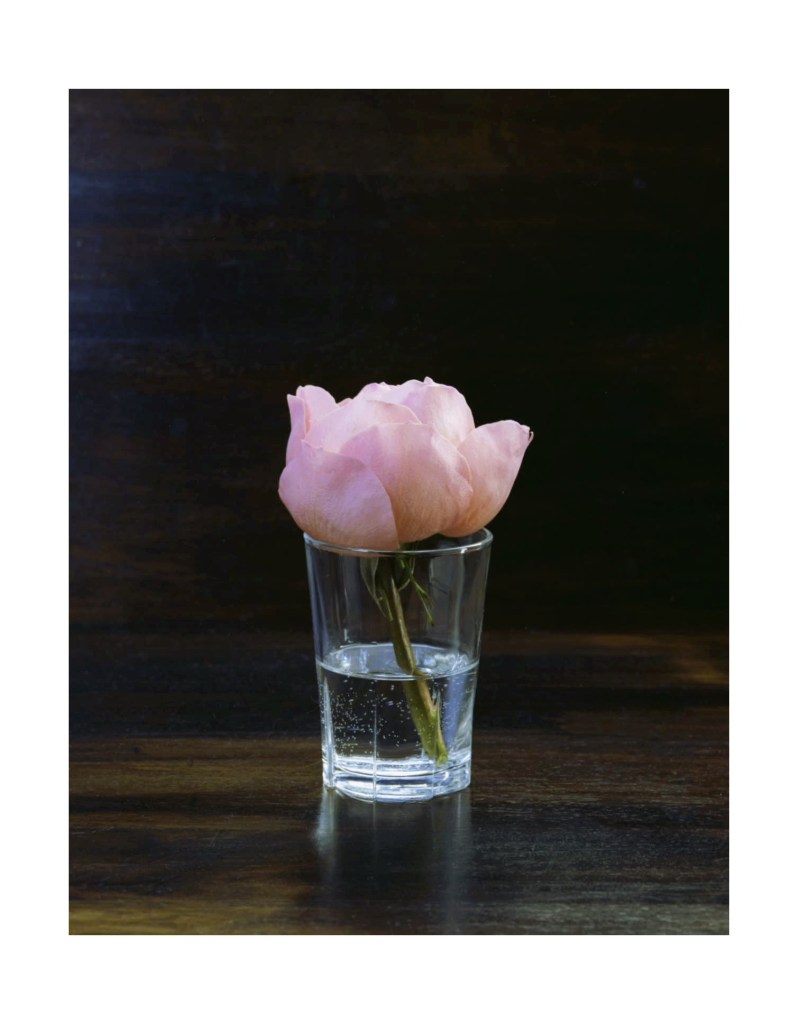 Nature morte
© Christophe Martinez